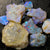 rough opal