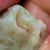Australian Rough Opal Lightning Ridge for Carving Beginner