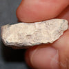 19.8 Cts Australian Opal Rough Lightning Ridge Polished Specimen Solid