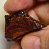 190 Cts Australian Rough Boulder Opal Parcel