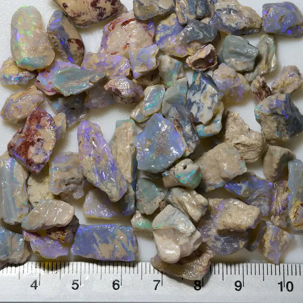 Rough Opal Lightning Ridge -Fossils