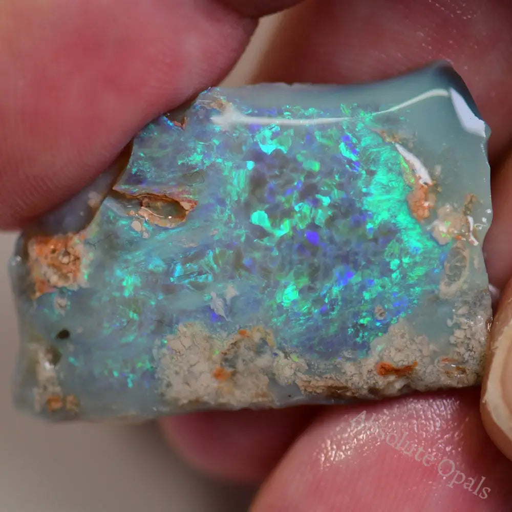 Lightning Ridge Rough Opals 20.7 cts Australian Rough Opal Lightning Ridge - Absolute Opals & Gems