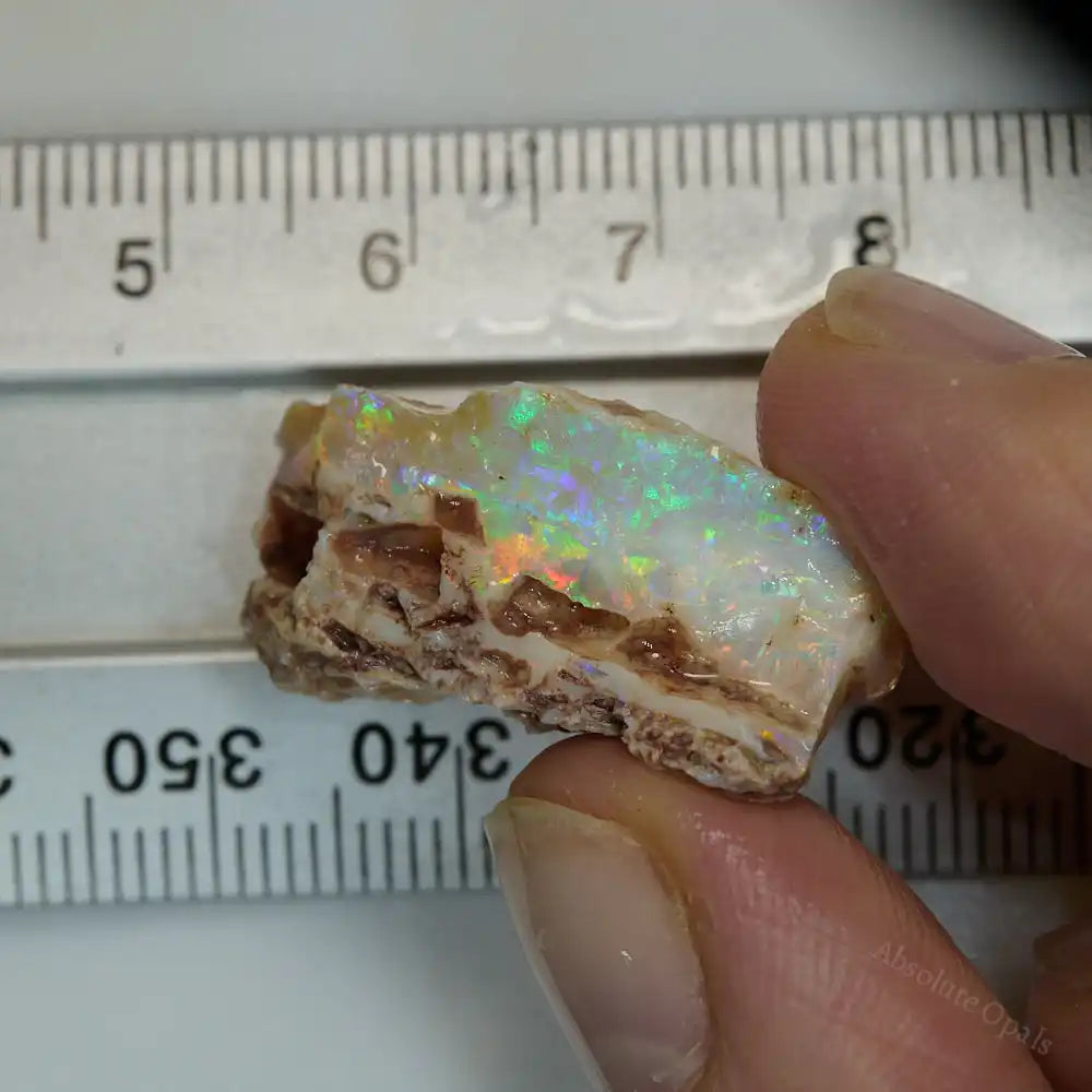 21.0 cts Rough South Australian Opal Rough Opal