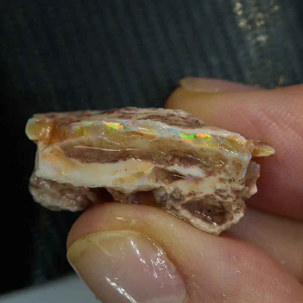 Rough South Australian Opal