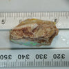 21.0 cts Rough South Australian Opal Rough Opal