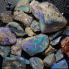 210 cts Rough Opal Lightning Ridge -Fossils Rough Opal