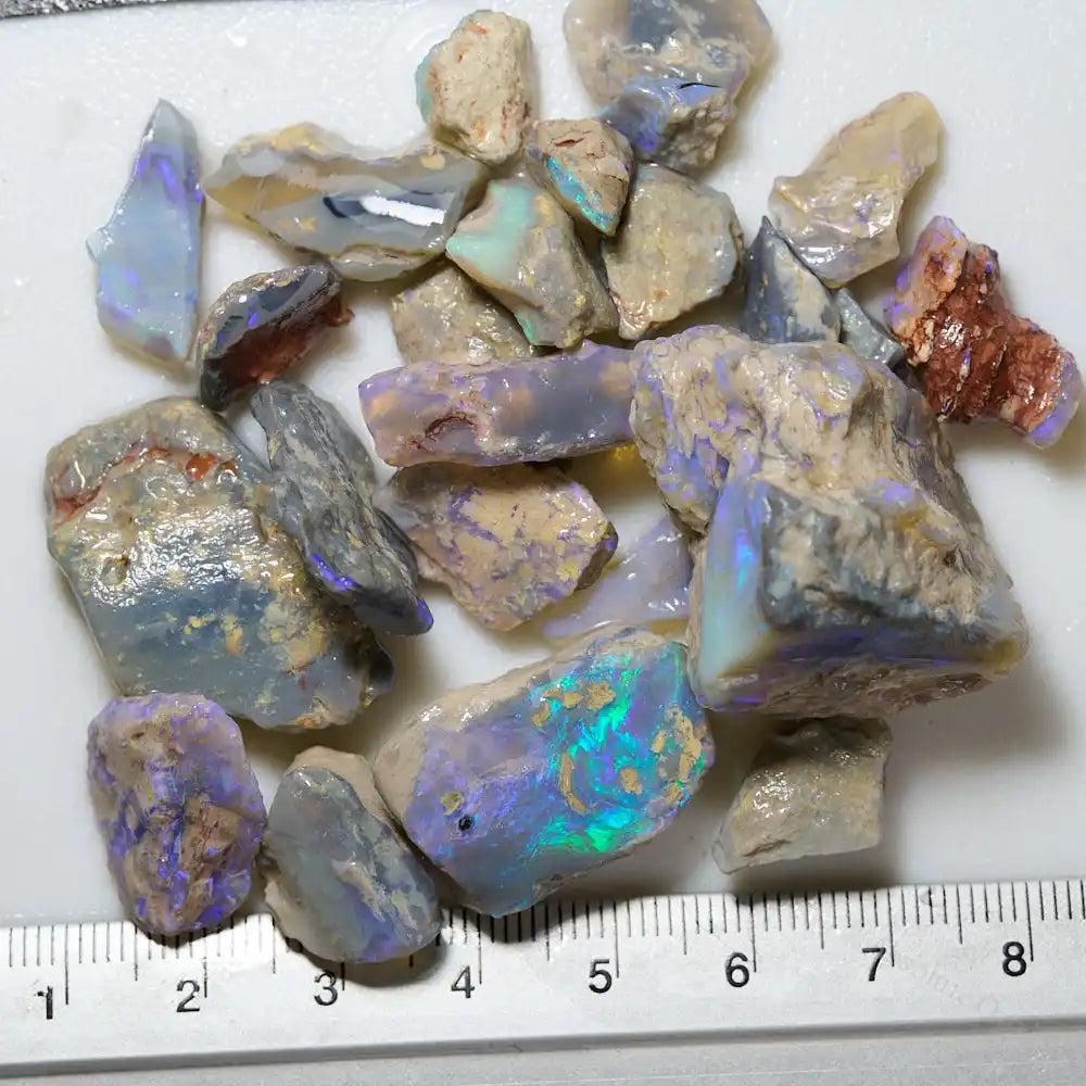 210 cts Rough Opal Lightning Ridge -Fossils Rough Opal