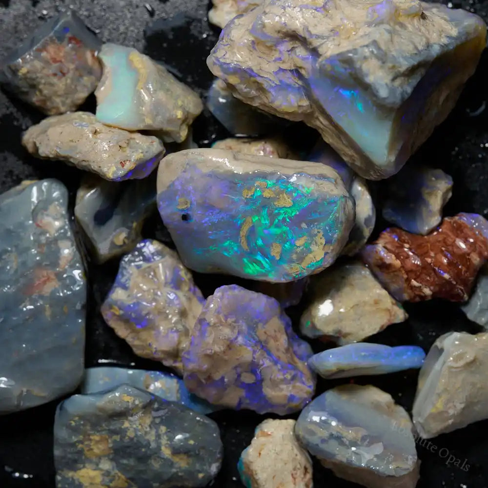 210 cts Rough Opal Lightning Ridge -Fossils Rough Opal