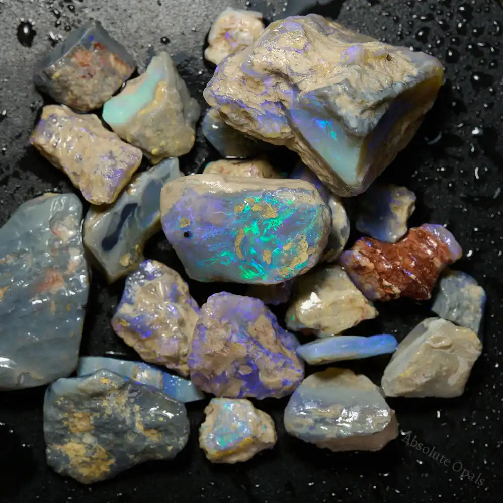 210 cts Rough Opal Lightning Ridge -Fossils Rough Opal