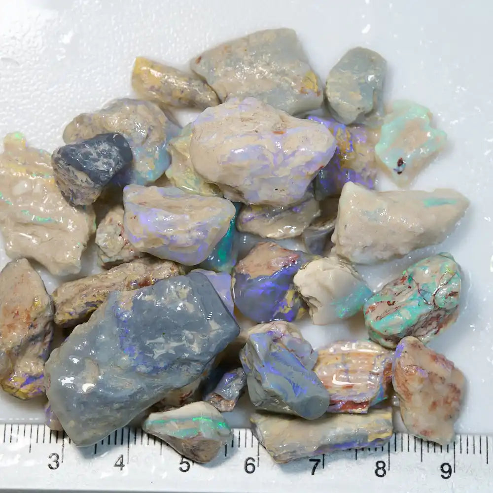 211 cts Rough Opal Lightning Ridge -Fossils Rough Opal
