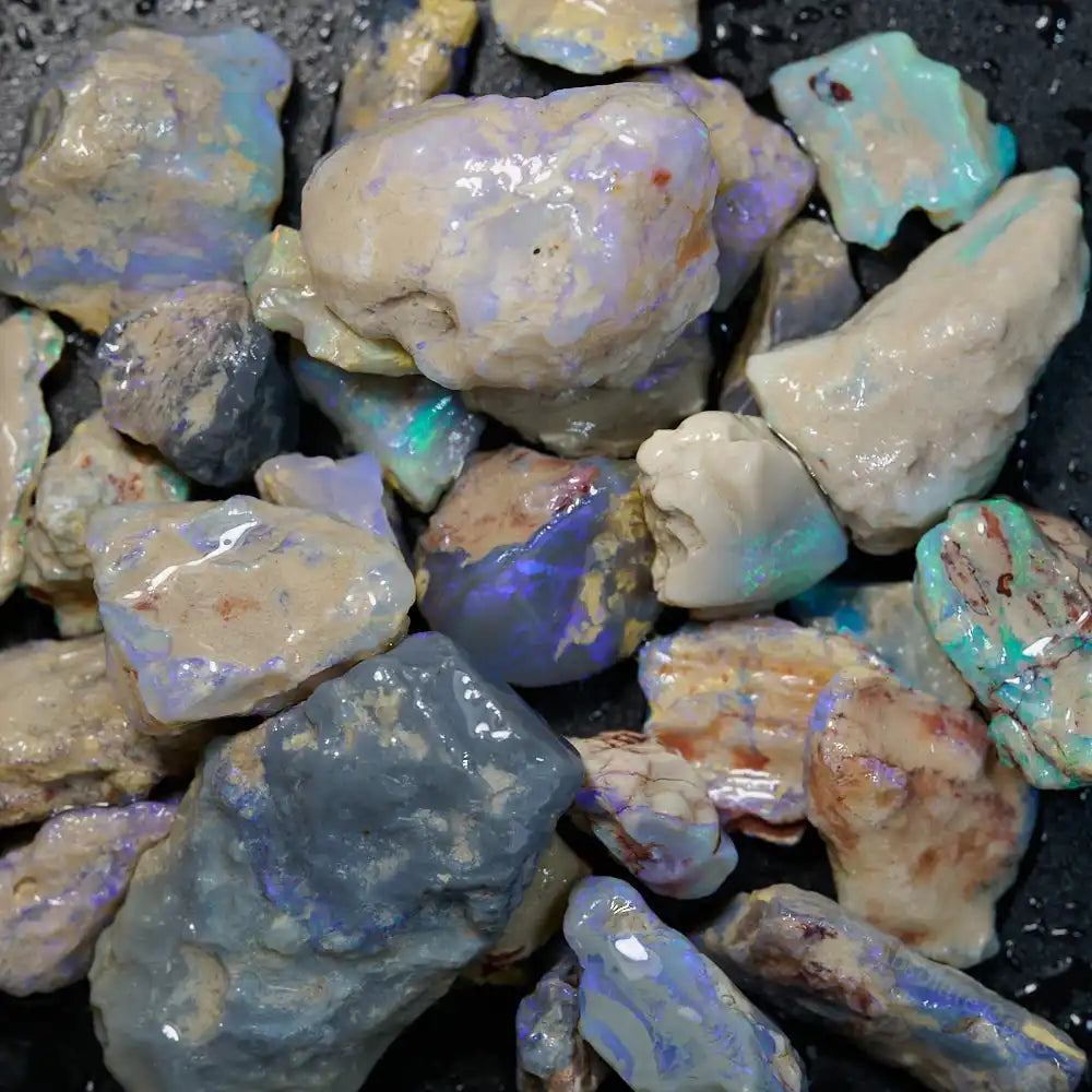 211 cts Rough Opal Lightning Ridge -Fossils Rough Opal