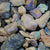 211 cts Rough Opal Lightning Ridge -Fossils Rough Opal