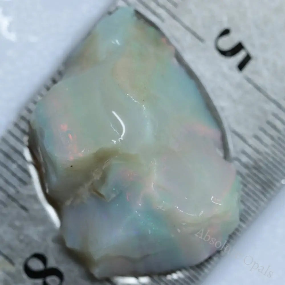 23.70 Cts Single Opal Rough For Carving 27.3X18.8X10.3Mm