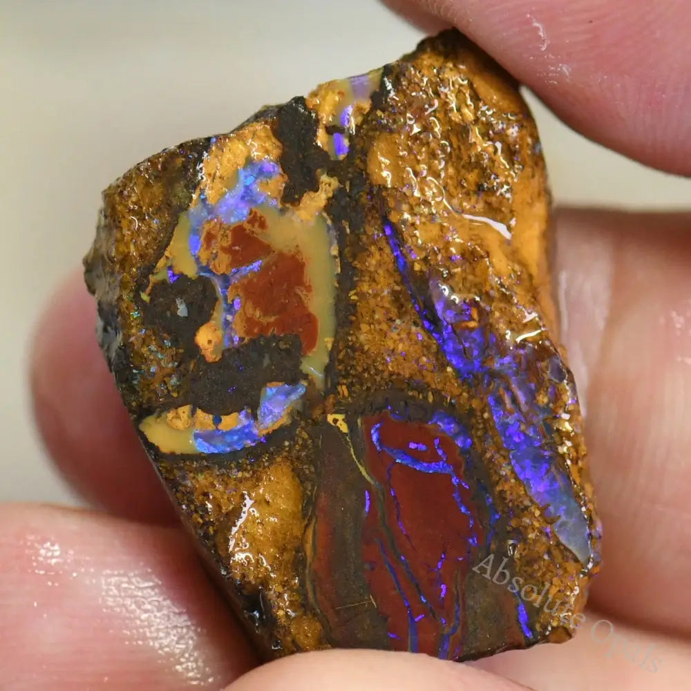 238.65 Cts Australian Boulder Opal Rough Parcel