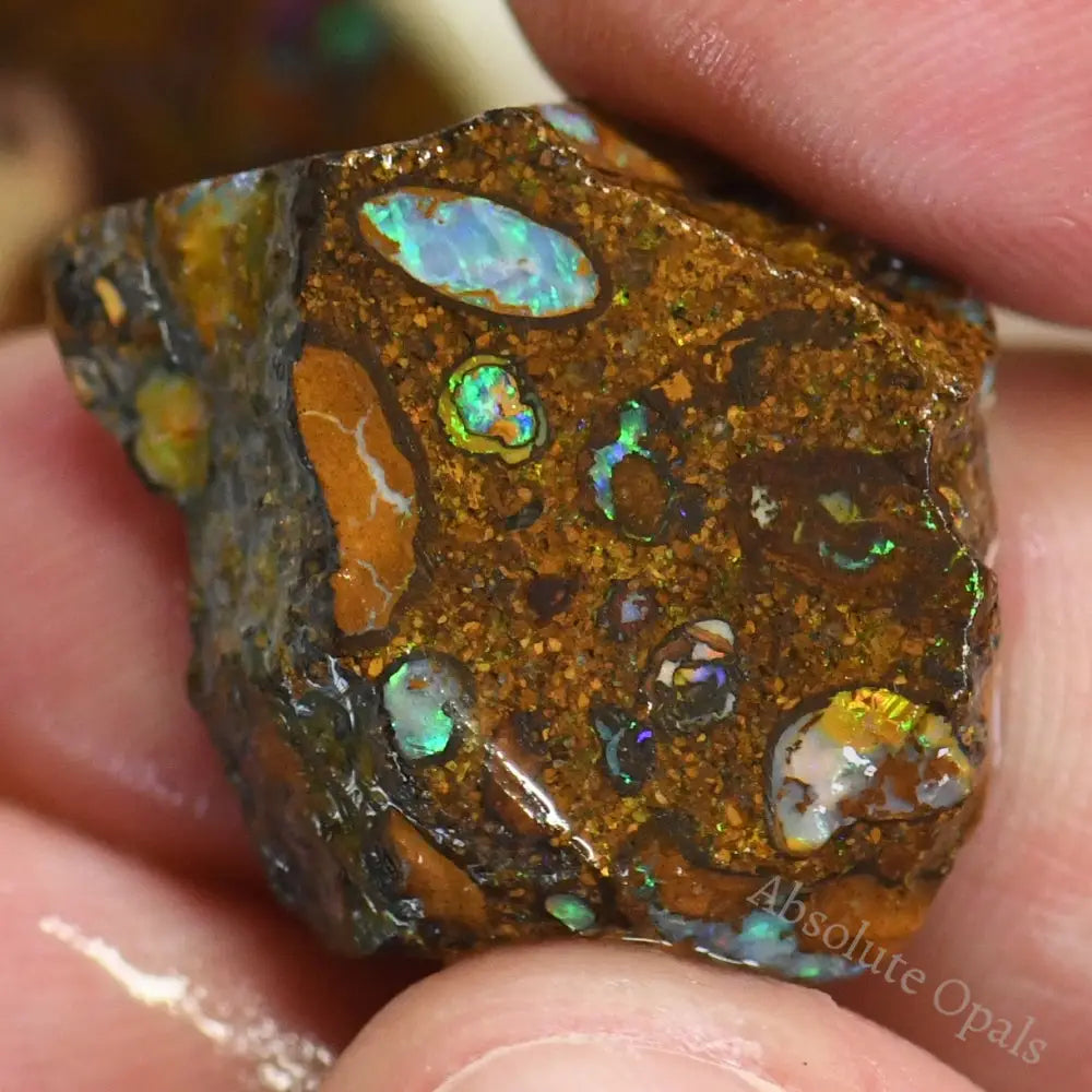 238.65 Cts Australian Boulder Opal Rough Parcel