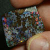 24.5 Cts Australian Boulder Opal Cut Stone