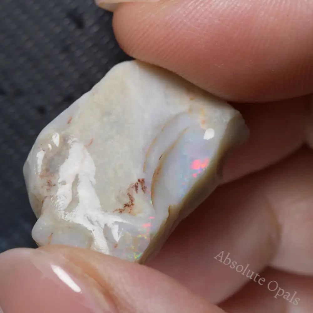 Lightning Ridge Rough Opals Rough Opal - Absolute Opals & Gems