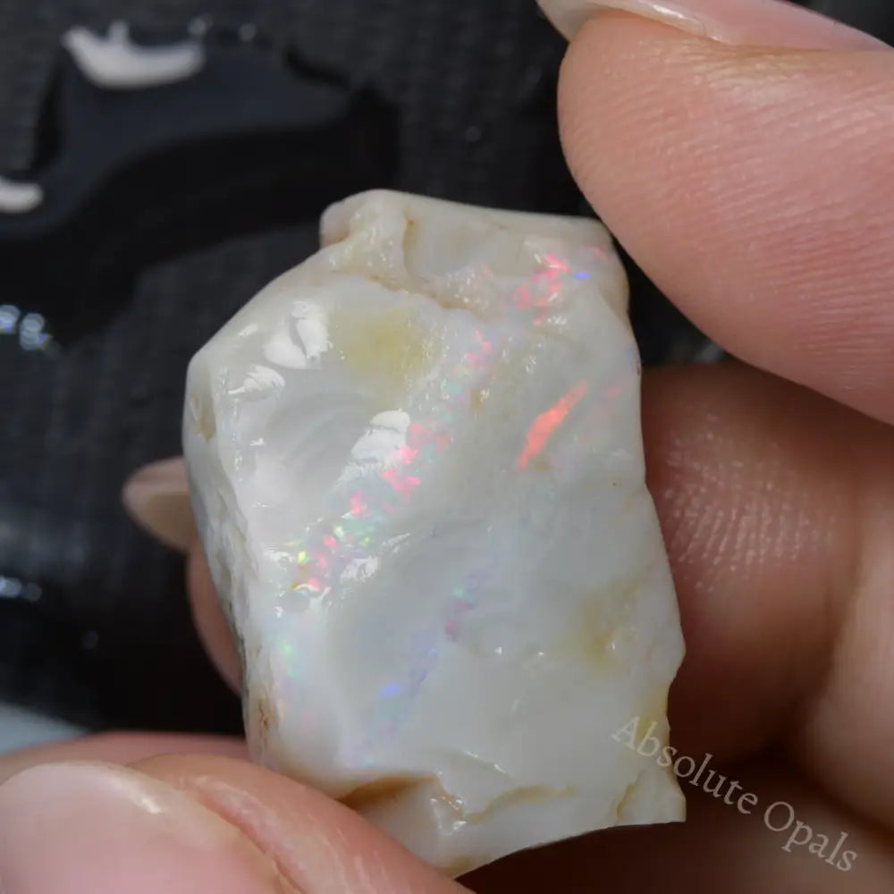 Lightning Ridge Rough Rough Opal - Absolute Opals & Gems