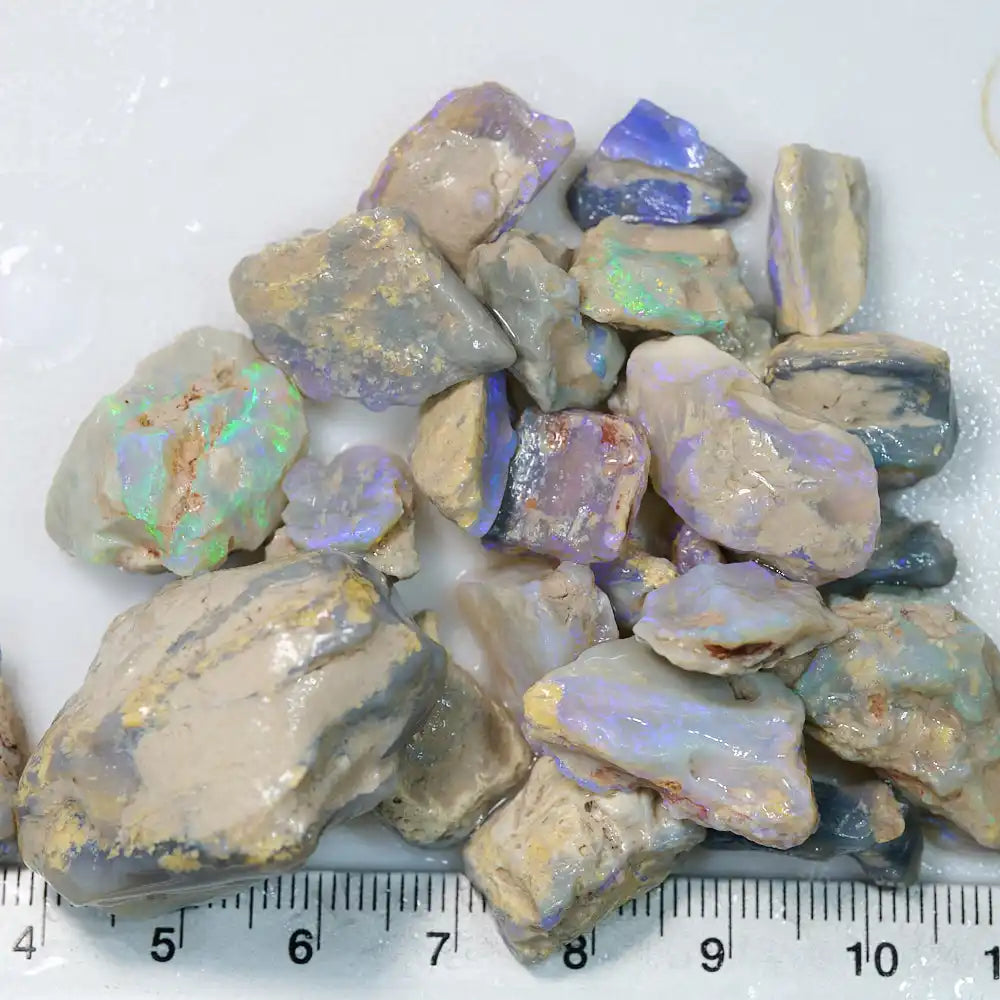 Lightning Ridge Rough 249 cts Rough Opal Lightning Ridge -Fossils - Absolute Opals & Gems
