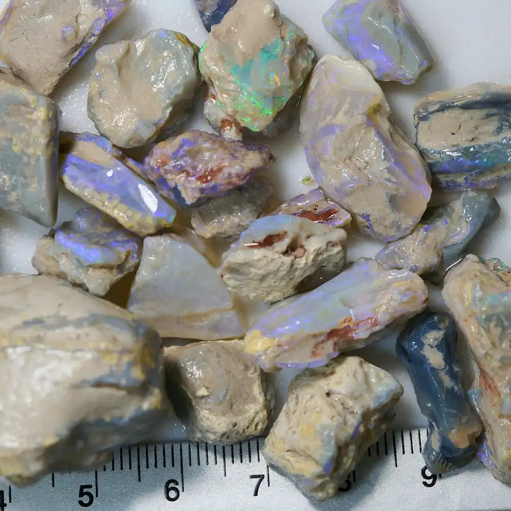 249 cts Rough Opal Lightning Ridge -Fossils Rough Opal