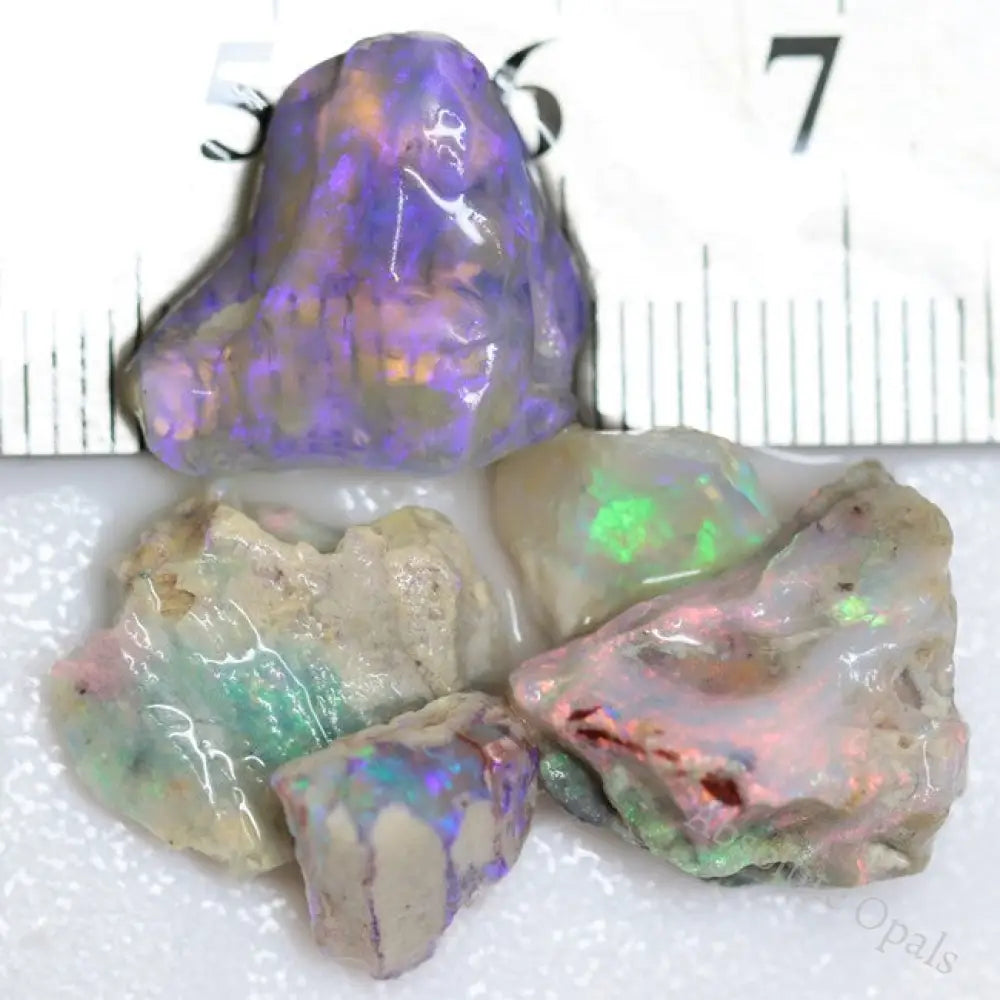 25.70 Cts Australian Opal Rough Parcel Lightning Ridge- Fossils
