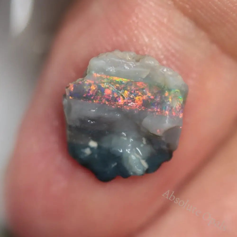 25.75 Cts Australian Lightning Ridge Rough Opal Parcel