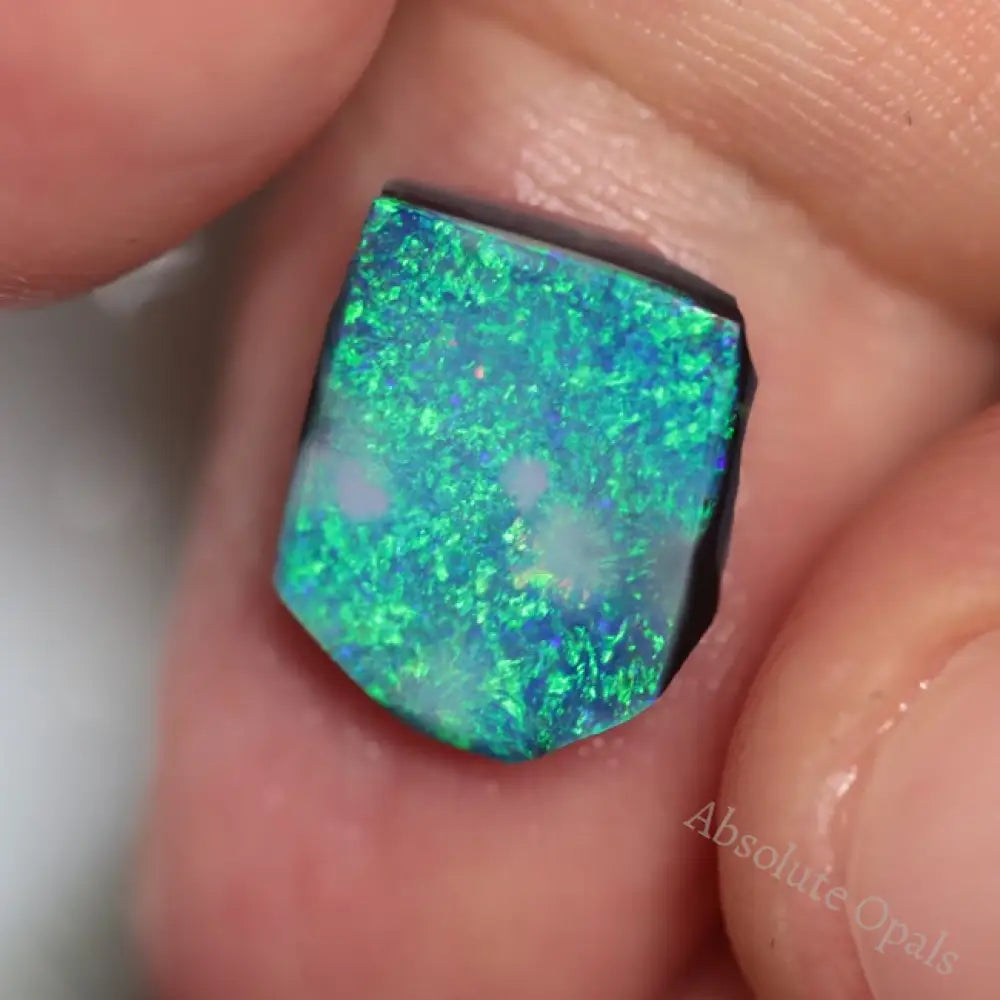 25.75 Cts Australian Lightning Ridge Rough Opal Parcel