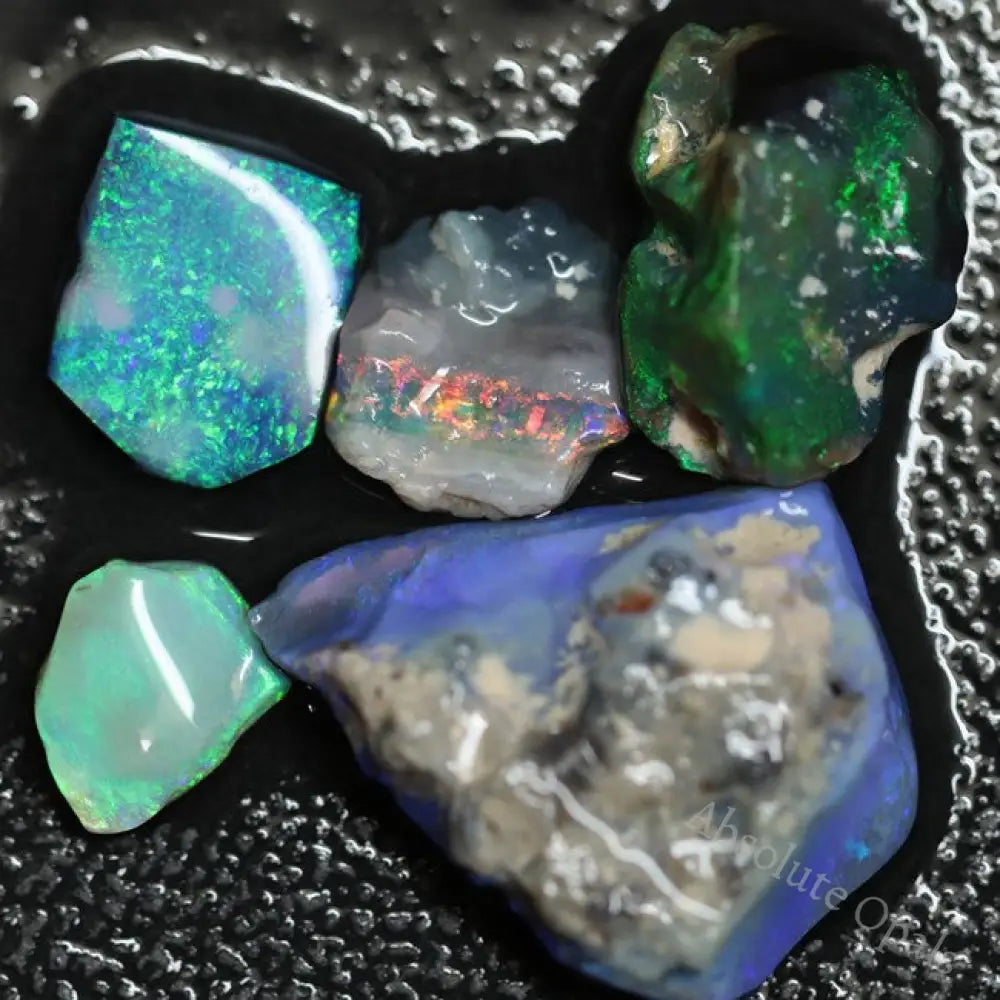 25.75 Cts Australian Lightning Ridge Rough Opal Parcel