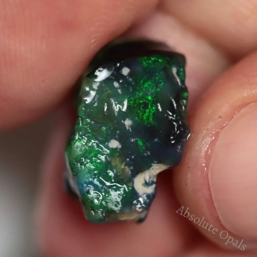 25.75 Cts Australian Lightning Ridge Rough Opal Parcel