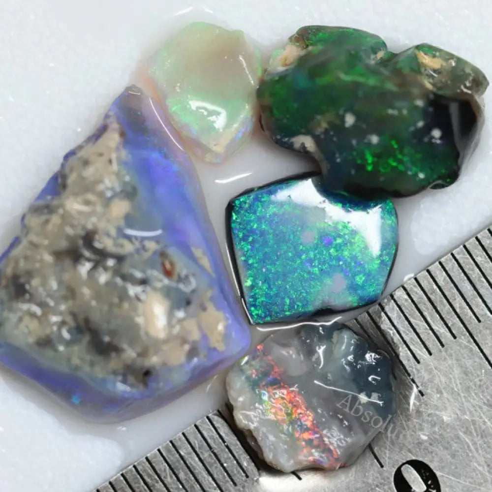 25.75 Cts Australian Lightning Ridge Rough Opal Parcel