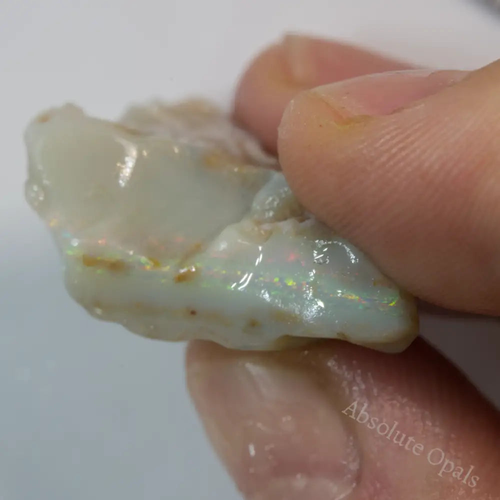 Lightning Ridge Rough 26.5 cts Australian Rough Opal Lightning Ridge - Absolute Opals & Gems