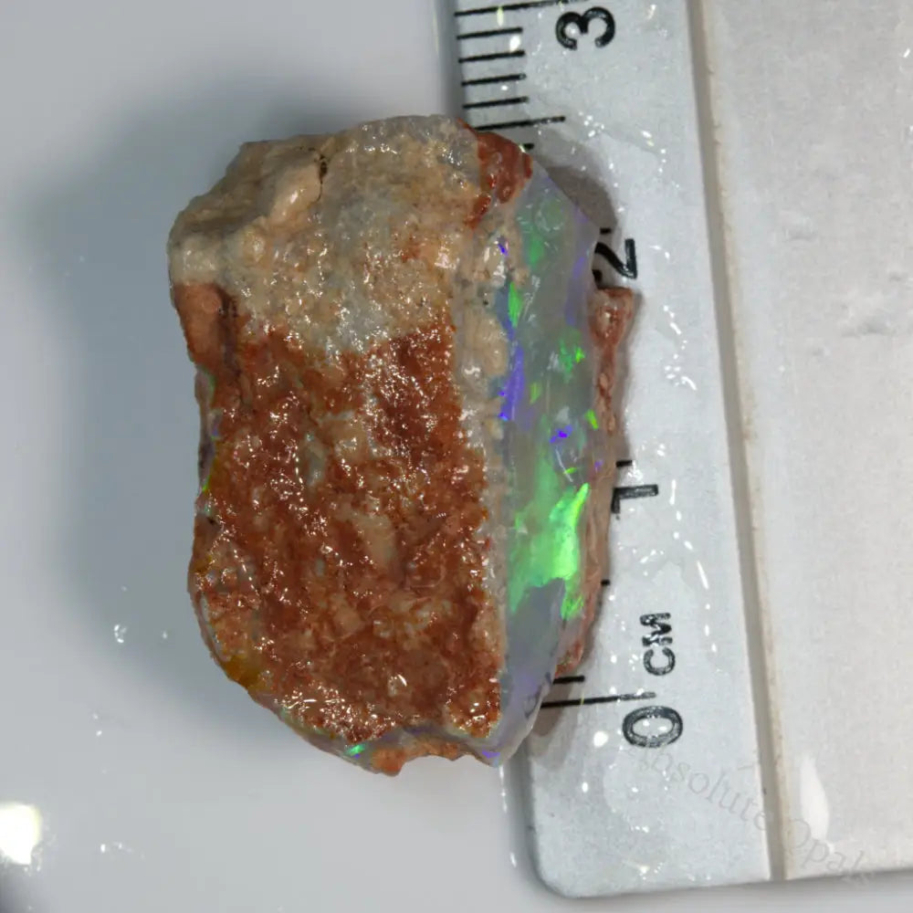 Lightning Ridge Rough 26.72 cts Australian Rough Opal Lightning Ridge - Absolute Opals & Gems