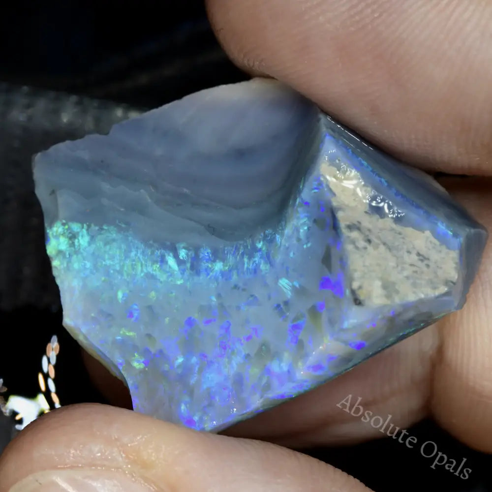 Lightning Ridge Rough Opals 27.2 cts Australian Rough Opal Lightning Ridge - Absolute Opals & Gems