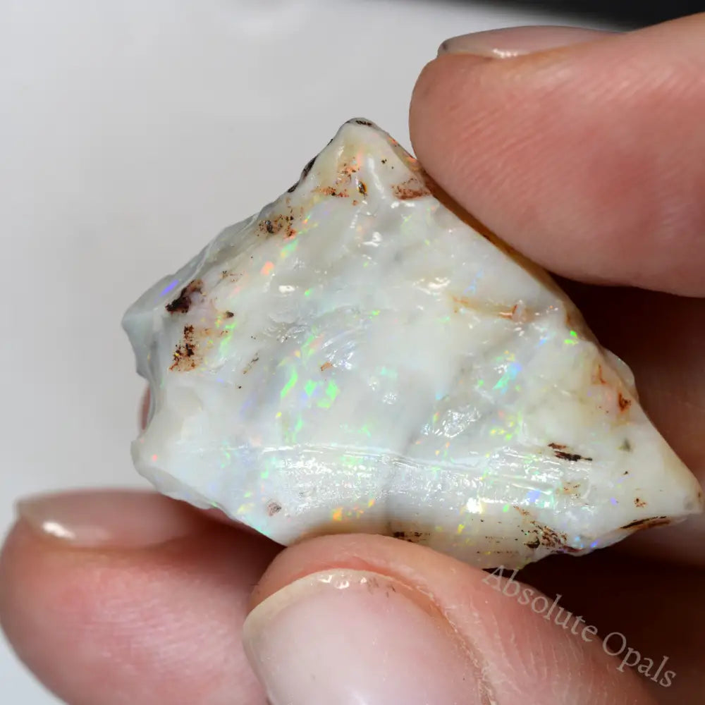 cts Rough Opal Lightning Ridge for Carving Absolute Opals
