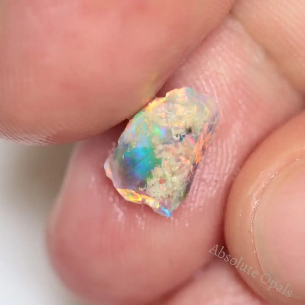 27.25 Cts Australian Opal Rough Parcel Fossils Lightning Ridge