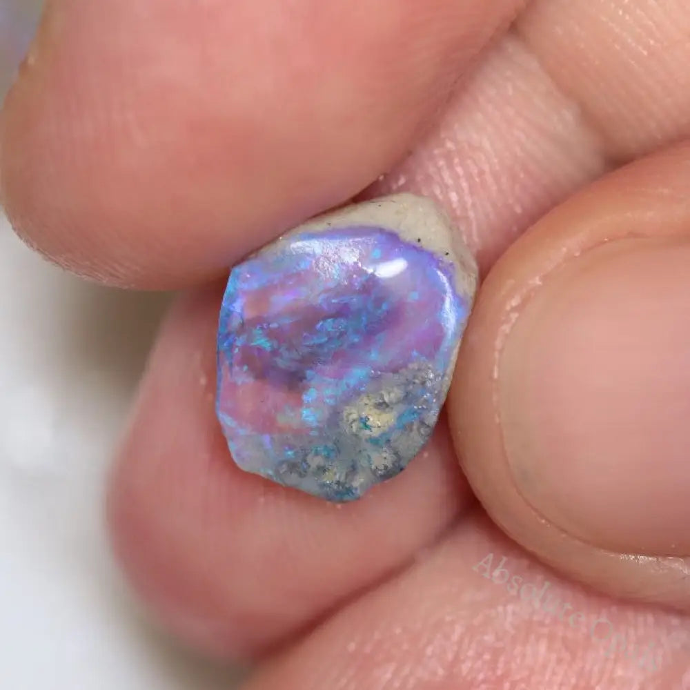 27.25 Cts Australian Opal Rough Parcel Fossils Lightning Ridge