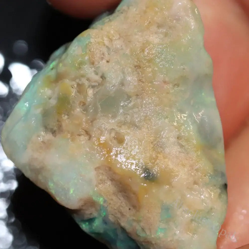 27.80 Cts Australian Lightning Ridge Opal Rough For Carving