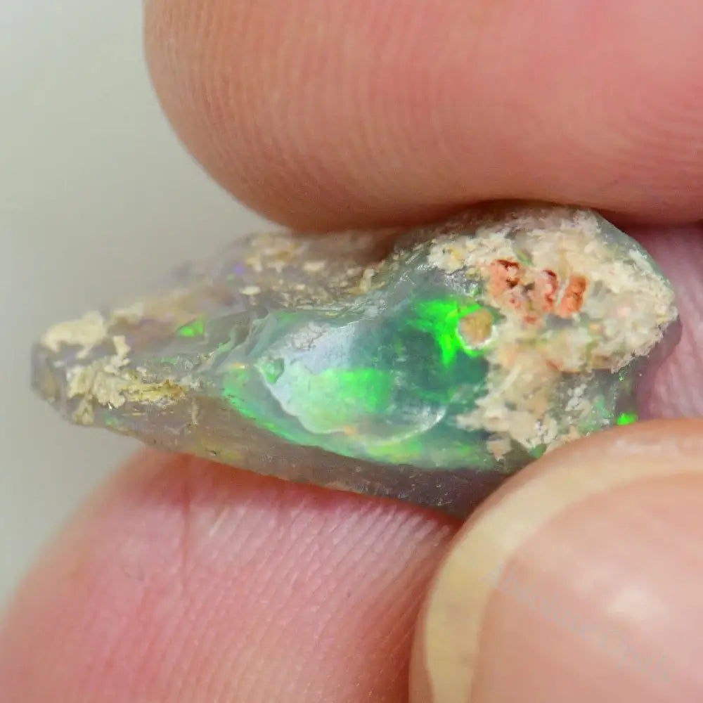 3.2 Cts Australian Opal Rough Lightning Ridge Fossil Specimen