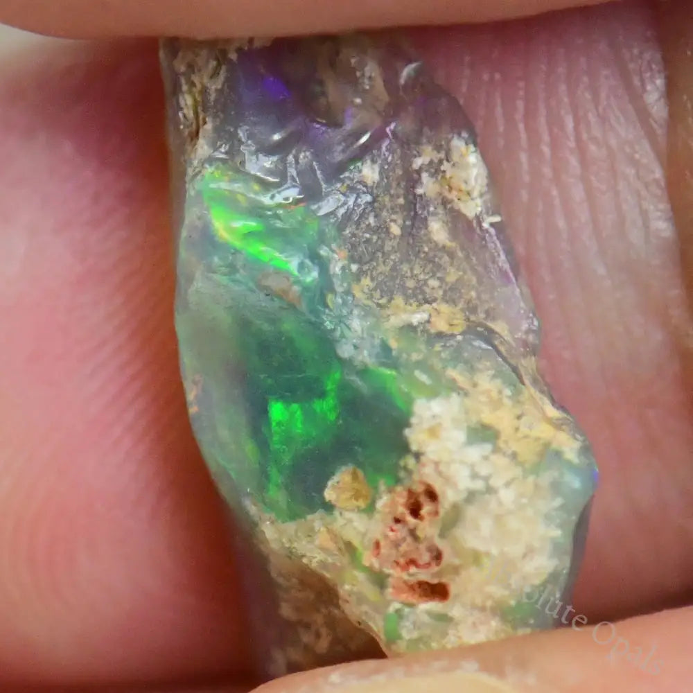 3.2 Cts Australian Opal Rough Lightning Ridge Fossil Specimen