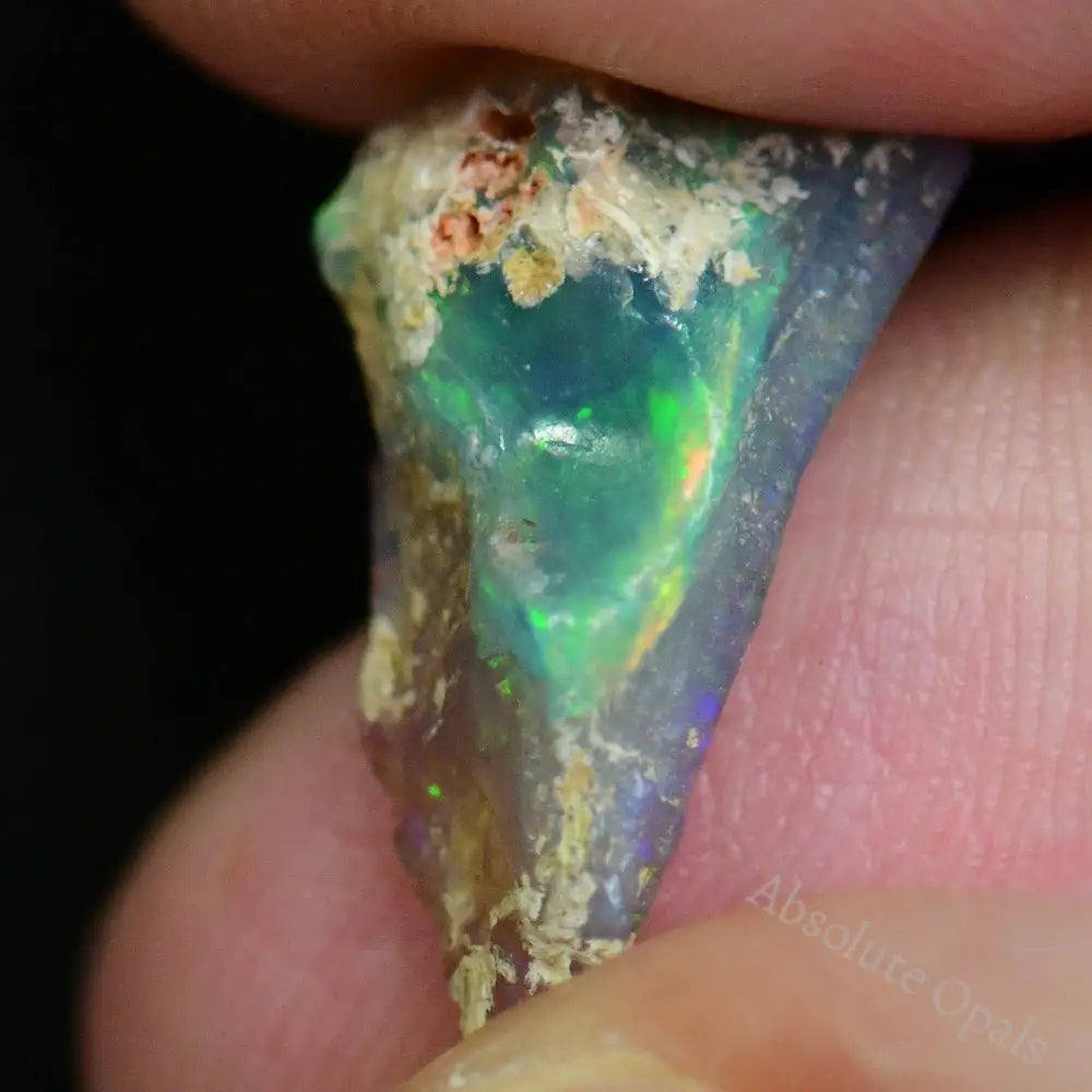 3.2 Cts Australian Opal Rough Lightning Ridge Fossil Specimen