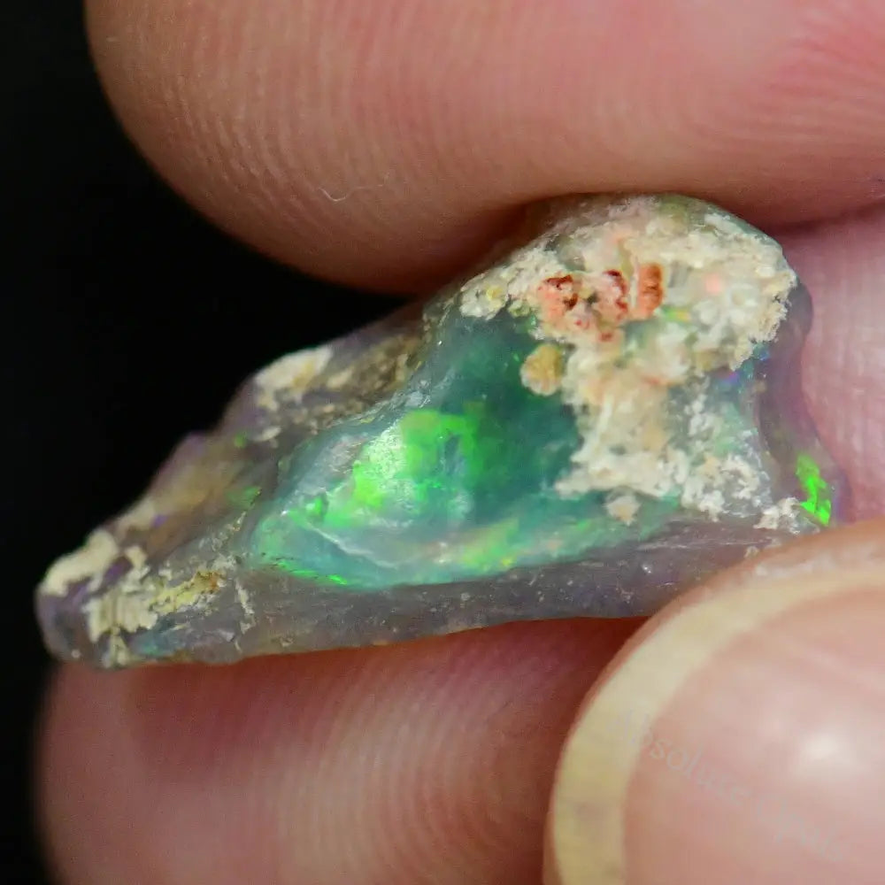 3.2 Cts Australian Opal Rough Lightning Ridge Fossil Specimen