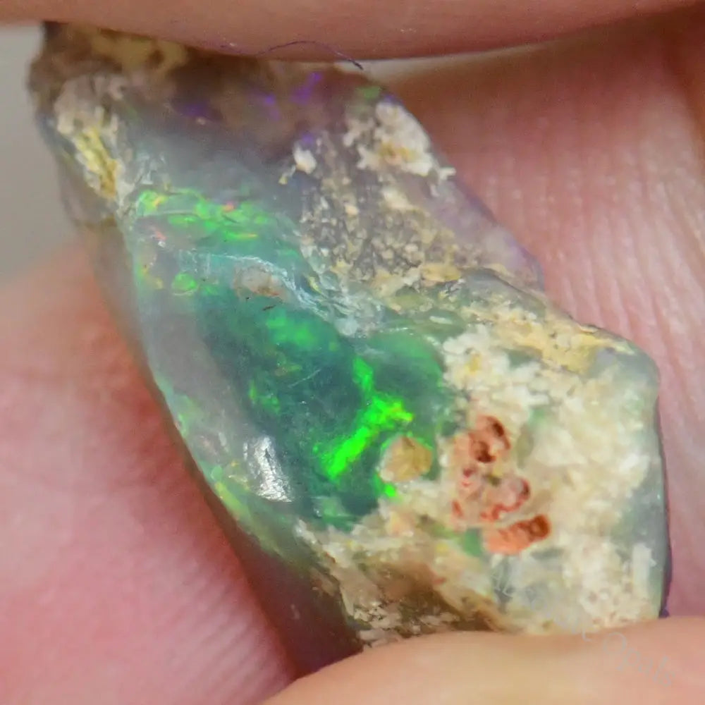 3.2 Cts Australian Opal Rough Lightning Ridge Fossil Specimen