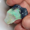 30.05 Cts Australian Lightning Ridge Rough Opal Parcel