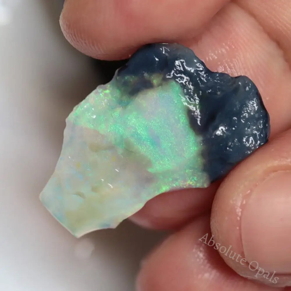 30.05 Cts Australian Lightning Ridge Rough Opal Parcel