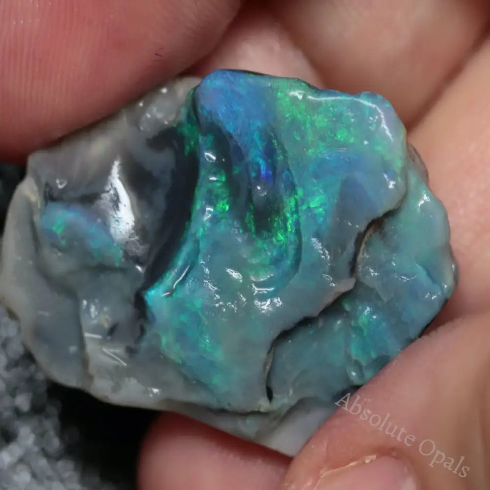 Lightning Ridge Rough Explore Our Rough Opal Collection Page 4 - Absolute Opals & Gems
