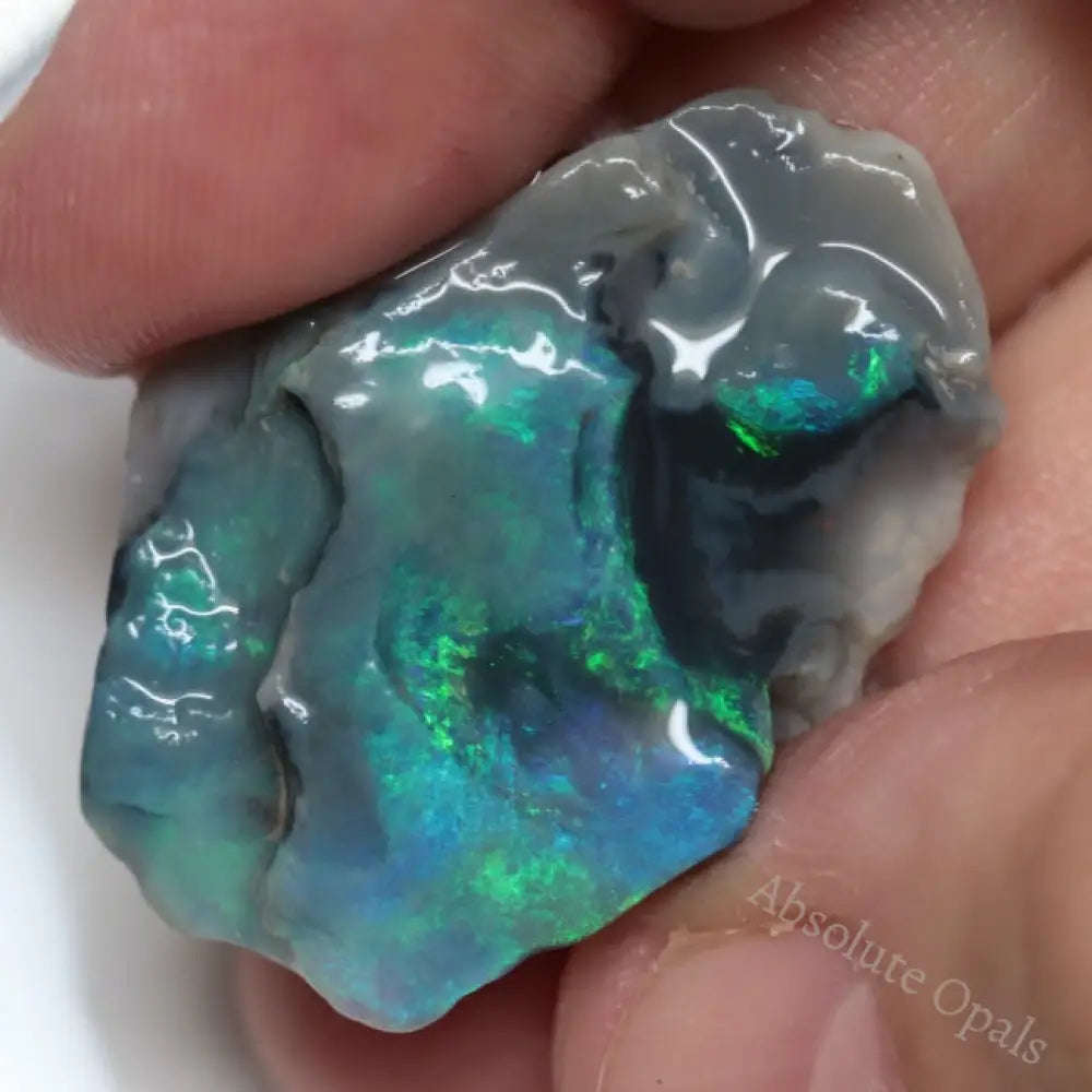 Lightning Ridge Rough Opals Explore Our Rough Opal Collection Page 4 - Absolute Opals & Gems