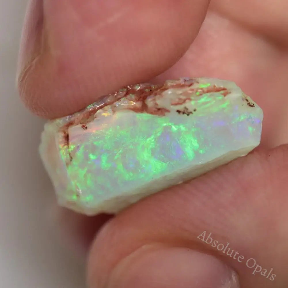 31.0 Cts Australian Lightning Ridge Rough Opal Parcel