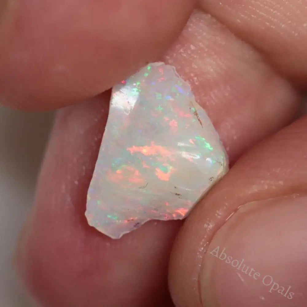 31.0 Cts Australian Lightning Ridge Rough Opal Parcel