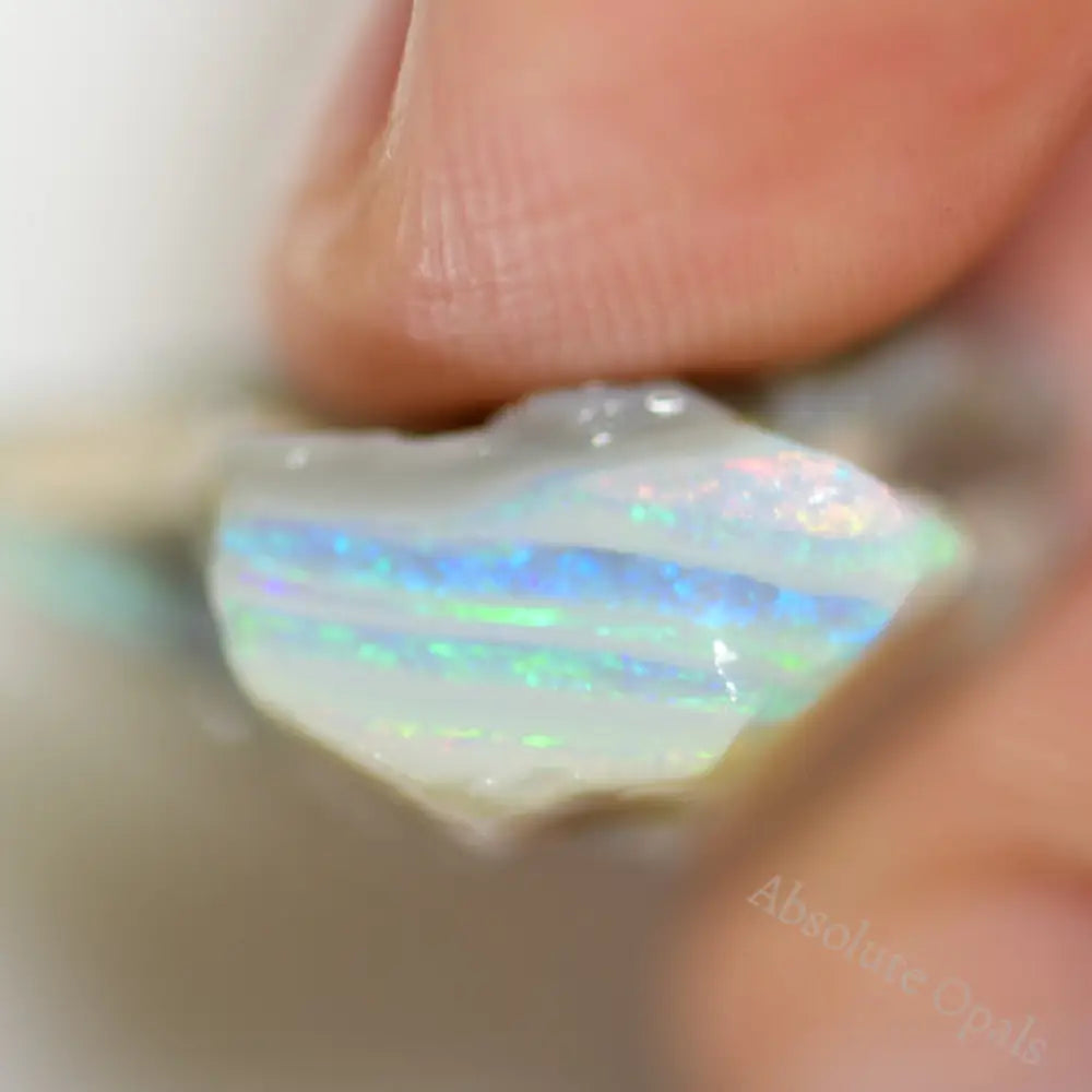 31.20 Cts Australian Single Rough Opal For Carving Lightning Ridge