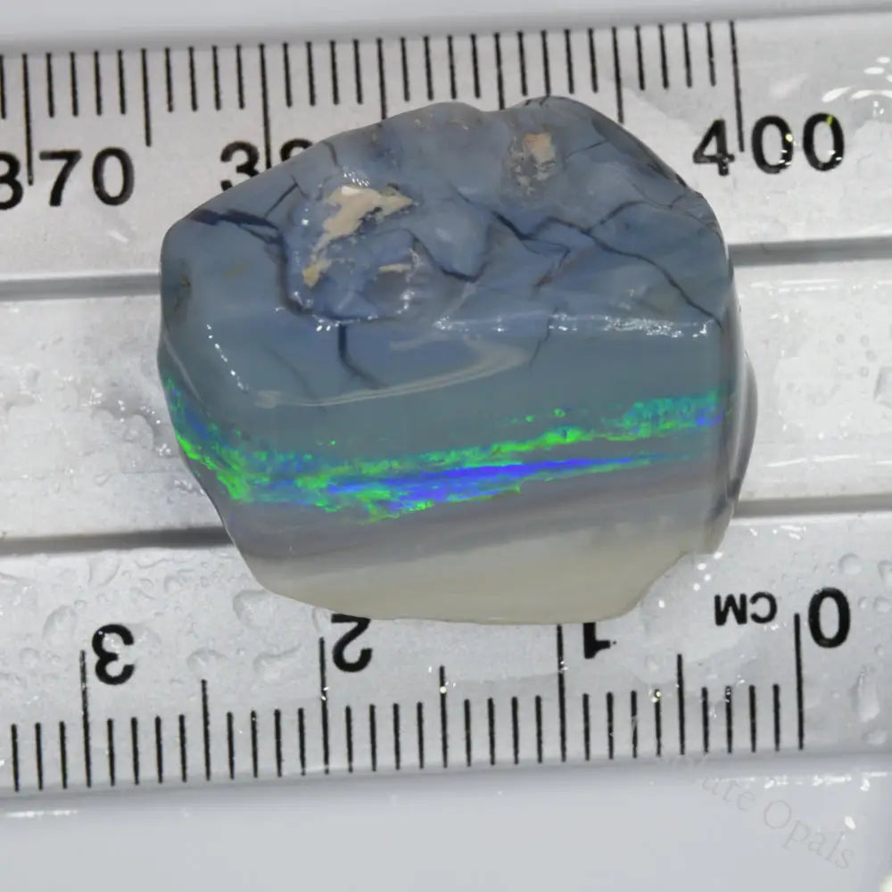 Lightning Ridge Rough 32.8 cts Australian Rough Opal Lightning Ridge - Absolute Opals & Gems